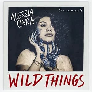 Wild Things (The Remixes) album cover