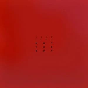 Not The Boy album cover