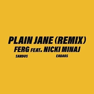 Plain Jane Remix album cover