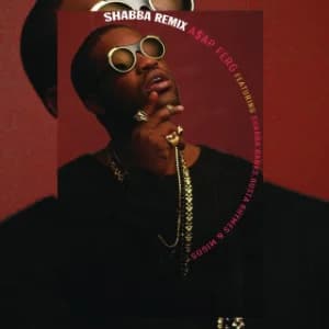 Shabba REMIX album cover