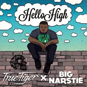 Hello High album cover