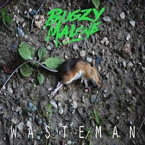 WasteMan album cover