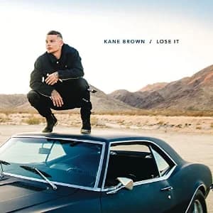 Lose It album cover
