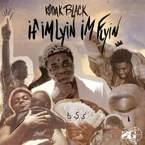 If I'm Lyin, I'm Flyin album cover