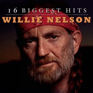 Willie Nelson - 16 Biggest Hits album cover