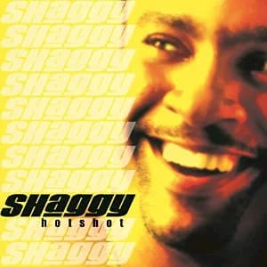 Hot Shot album cover