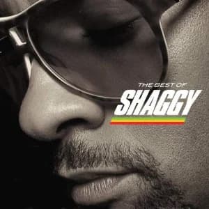 The Best Of Shaggy album cover