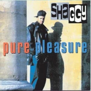 Pure Pleasure album cover