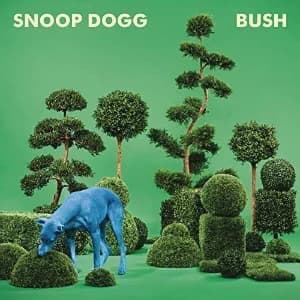 Bush album cover