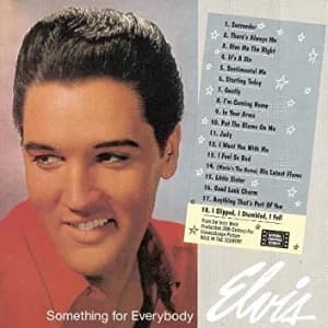 Something for Everybody album cover