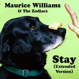 Stay (Extended Version) album cover