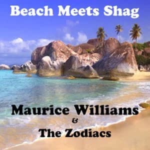 Beach Meets Shag album cover