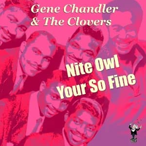Nite Owl Your So Fine album cover