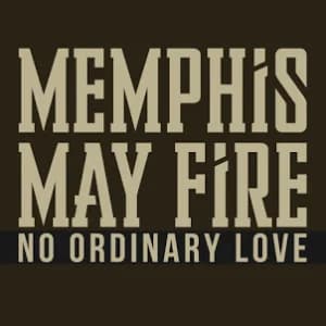 No Ordinary Love album cover