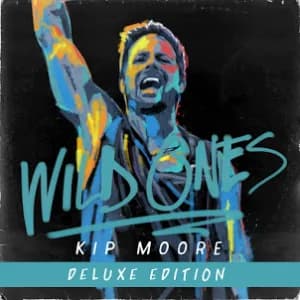 Wild Ones (Deluxe) album cover