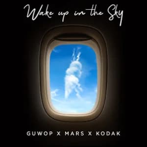 Wake Up in the Sky album cover