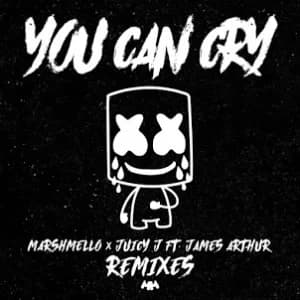 You Can Cry (Remixes) (feat. James Arthur) album cover
