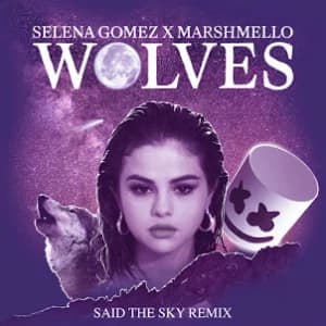 Wolves (Said The Sky Remix) album cover