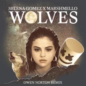 Wolves (Owen Norton Remix) album cover