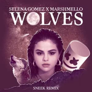 Wolves (Sneek Remix) album cover