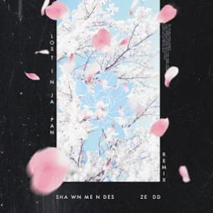 Lost In Japan (Remix) album cover
