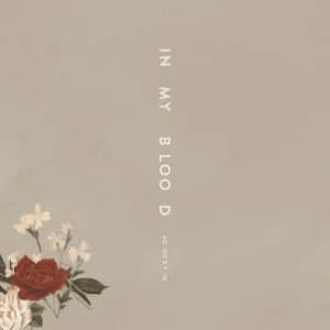 In My Blood (Acoustic) album cover