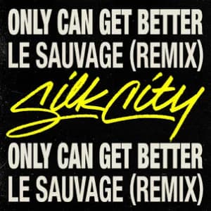 Only Can Get Better (Le Sauvage Remix) album cover