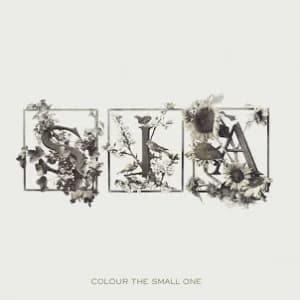 Colour The Small One (Deluxe Edition) album cover