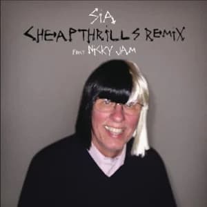 Cheap Thrills Remix album cover