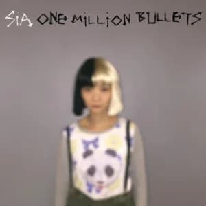 One Million Bullets album cover