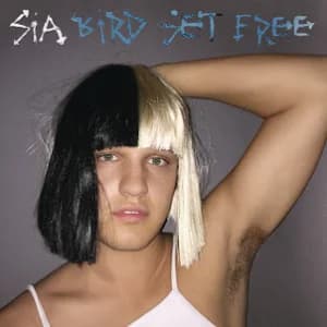 Bird Set Free album cover