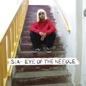 Eye of the Needle album cover