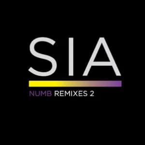 Numb Remixes 2 album cover