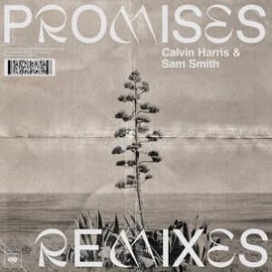 Promises (Remixes) album cover