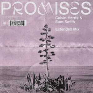 Promises (Extended Mix) album cover