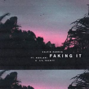 Faking It (Radio Edit) album cover