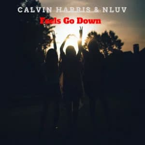 Feels Go Down album cover