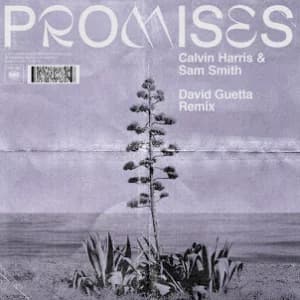 Promises (David Guetta Extended Remix) album cover