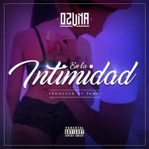 En La Intimidad album cover
