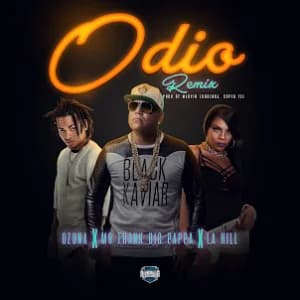 Odio (Remix) album cover