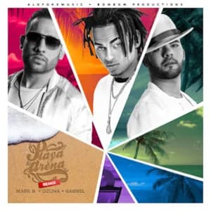 Playa y Arena (Remix) album cover