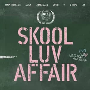 Skool Luv Affair album cover
