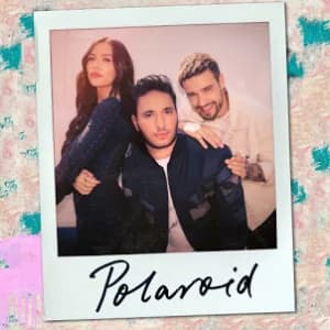 Polaroid album cover