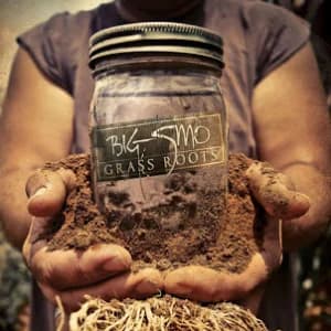 Grass Roots album cover