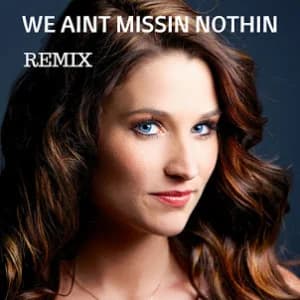 We Aint Missin Nothin (Remix) album cover