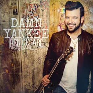Damn Yankee album cover
