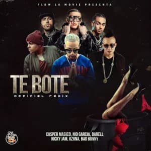 Te Boté (Remix) album cover