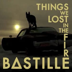 Things We Lost in the Fire album cover