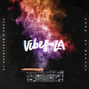 Vibes In LA album cover