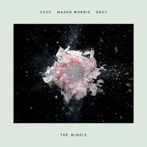 The Middle album cover